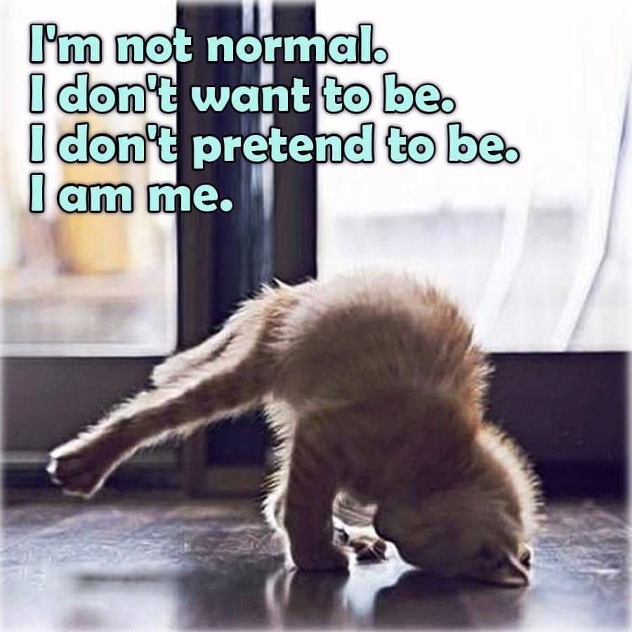 n petit chat amusant faisant des pompes sur les pattes avant. un texte à coté indique en anglais: je ne suis pas normal, ne ne veux pas l'être, je ne prétends pas l'être, je suis moi.